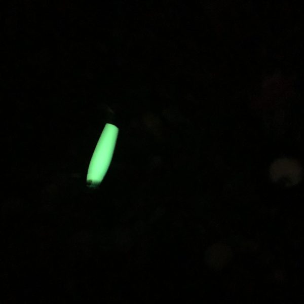蓄光メタルジグの発光している写真